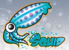 squid-cache_logo