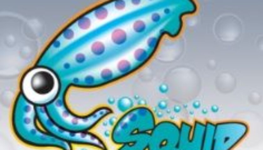 squid-cache_logo