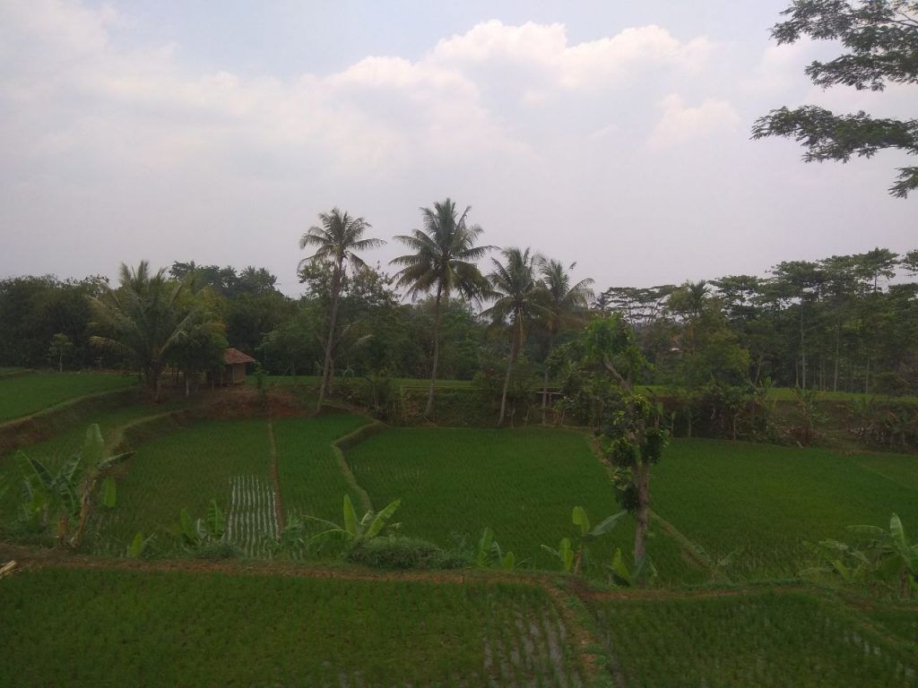 Kisah di Kampung : Balada Anak Nakal