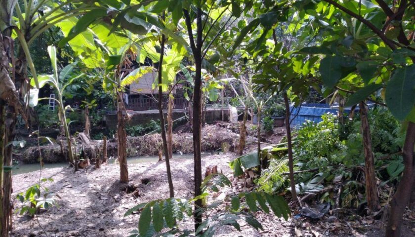 lahan-kolam-excellent-farm4-1024×768.jpg