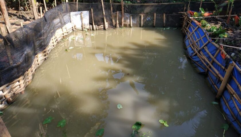 kolam-excellent-farm1-1024×768.jpg
