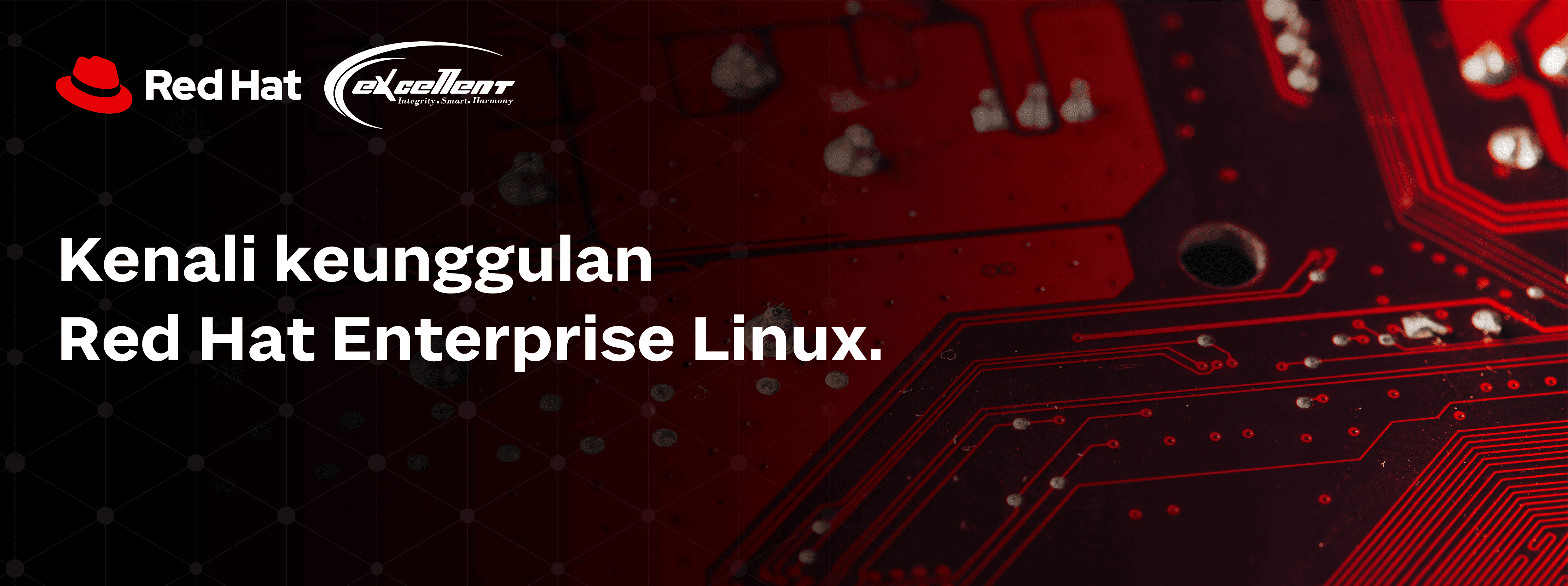 New Hiro Red Hat (1)