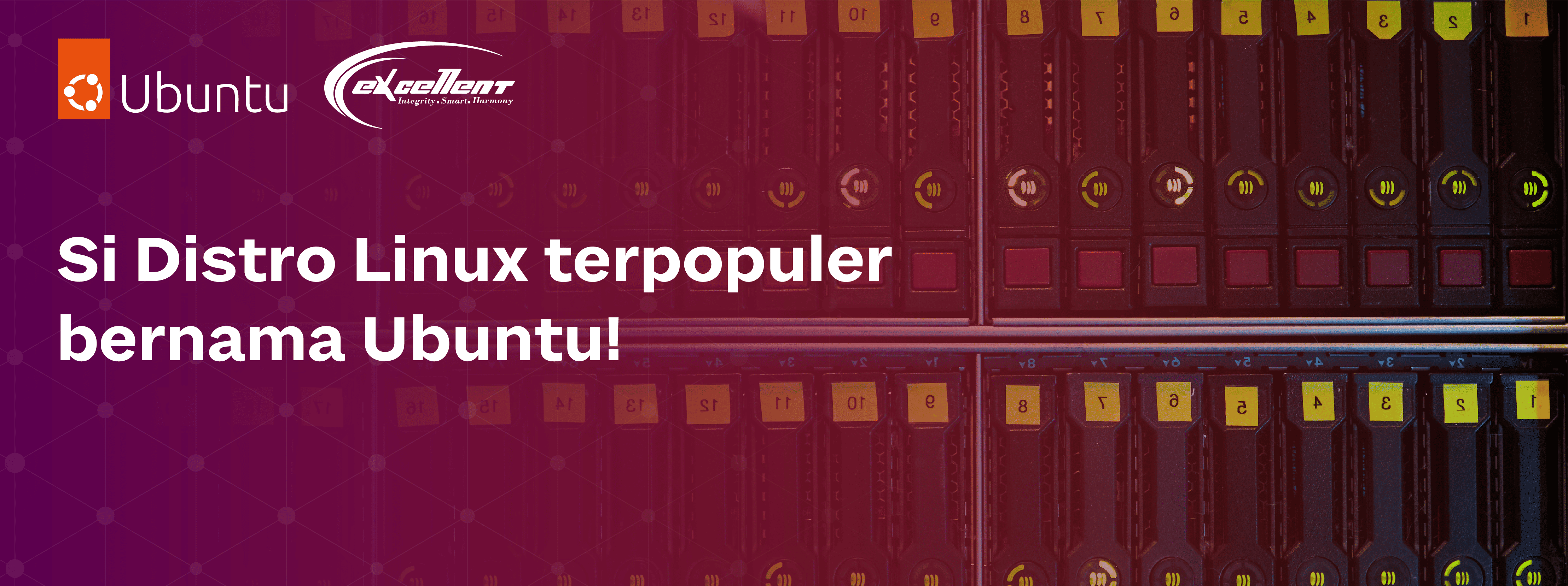 New Hiro Ubuntu Pro (1)