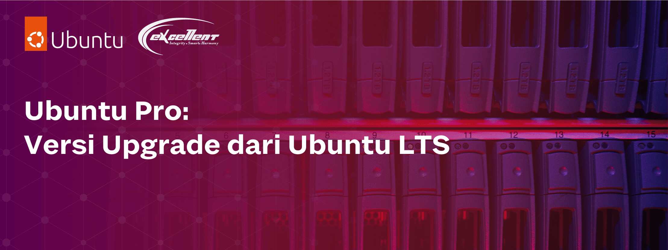 New Hiro Ubuntu Pro (2)